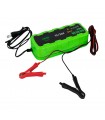 Chargeur de batteries 12/24V Jbm