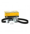 KIT DISTRIBUTION VW / SEAT / GOLF / AUDI  TDI